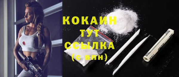 МДПВ Абаза