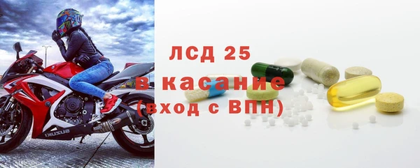 прущие грибы Абдулино