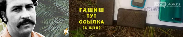 прущие грибы Абдулино
