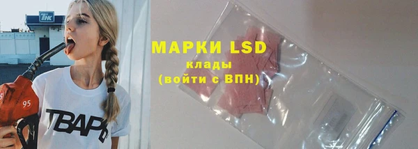 прущие грибы Абдулино