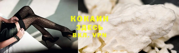 прущие грибы Абдулино