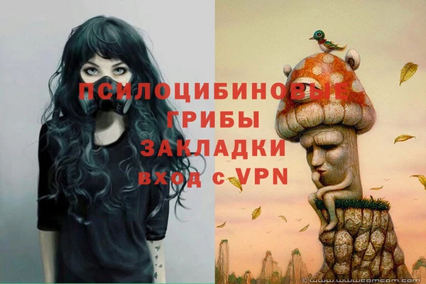 МДПВ Абаза