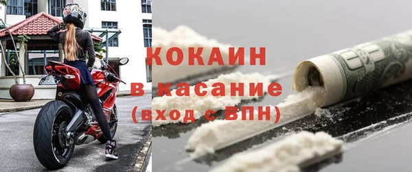 прущие грибы Абдулино