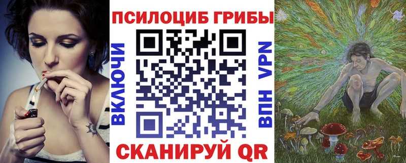Псилоцибиновые грибы прущие грибы  Димитровград 