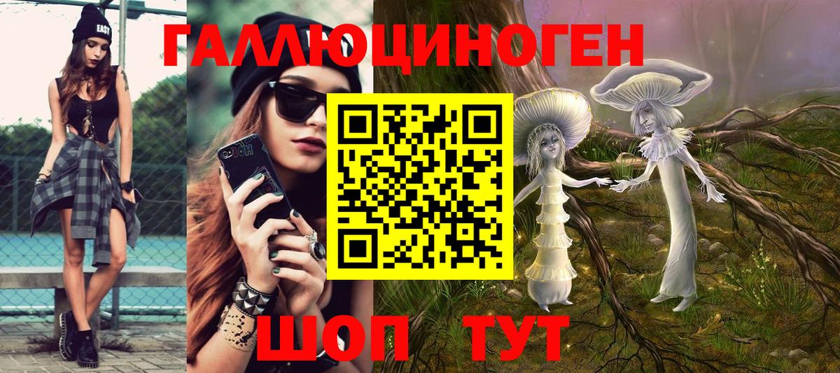 Димитровград  Псилоцибиновые грибы мицелий  Псилоцибиновые грибы Psilocybe  где купить наркотик  Вход с VPN 