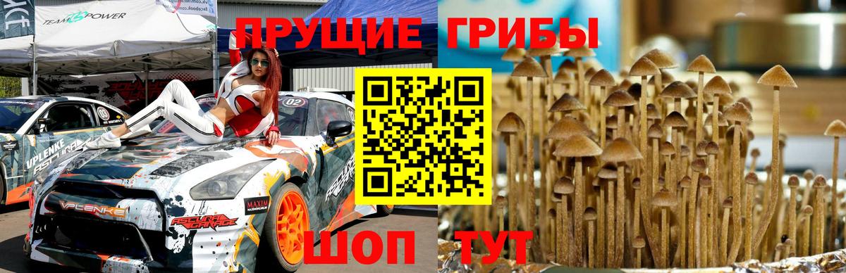 Галлюциногенные грибы MAGIC MUSHROOMS Димитровград