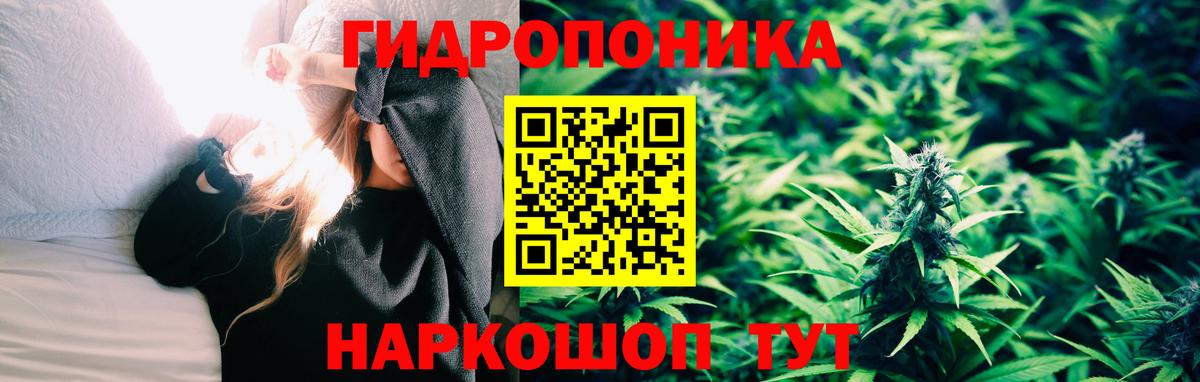 Бошки марихуана VHQ  Марихуана SATIVA & INDICA  Марихуана Ganja  Димитровград  Вход с VPN 